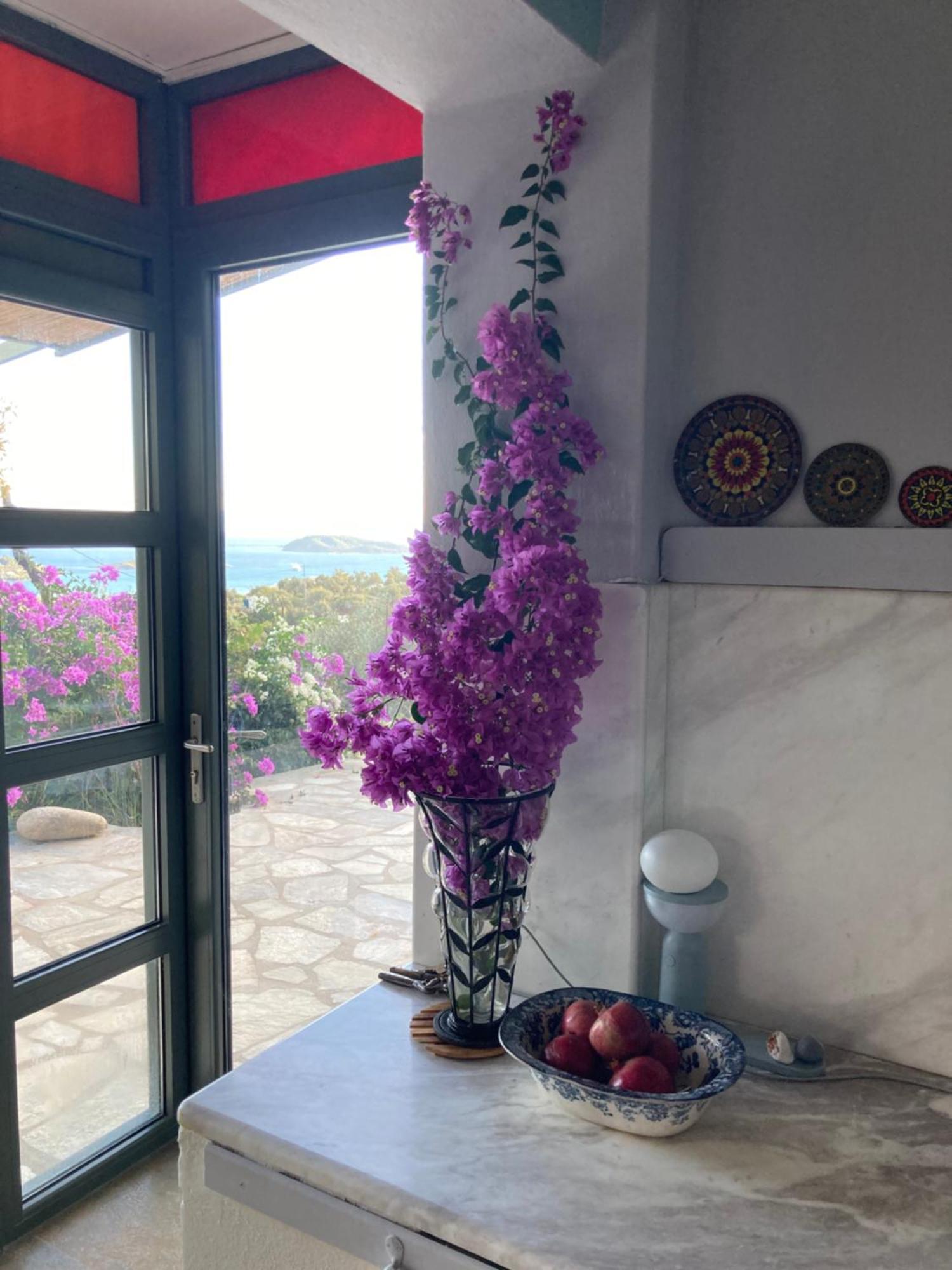 Tierra Villa Скиатос Екстериор снимка
