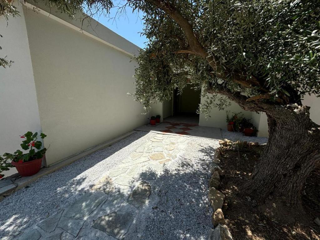Tierra Villa Скиатос Екстериор снимка