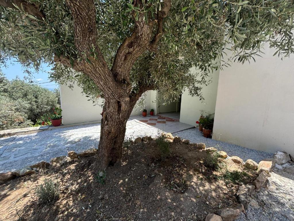 Tierra Villa Скиатос Екстериор снимка
