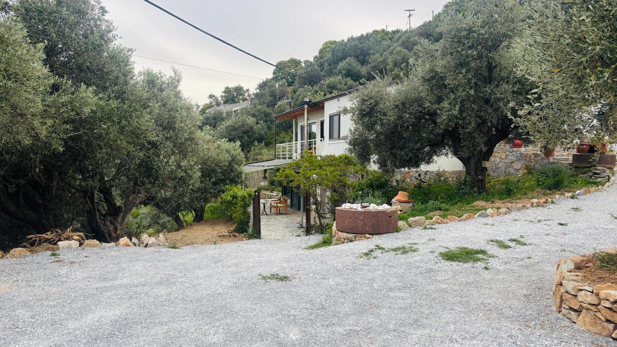 Tierra Villa Скиатос Екстериор снимка